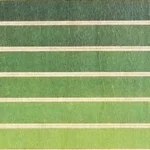 woodhi-segnalibro-in-legno-con-sfumature-di-verde