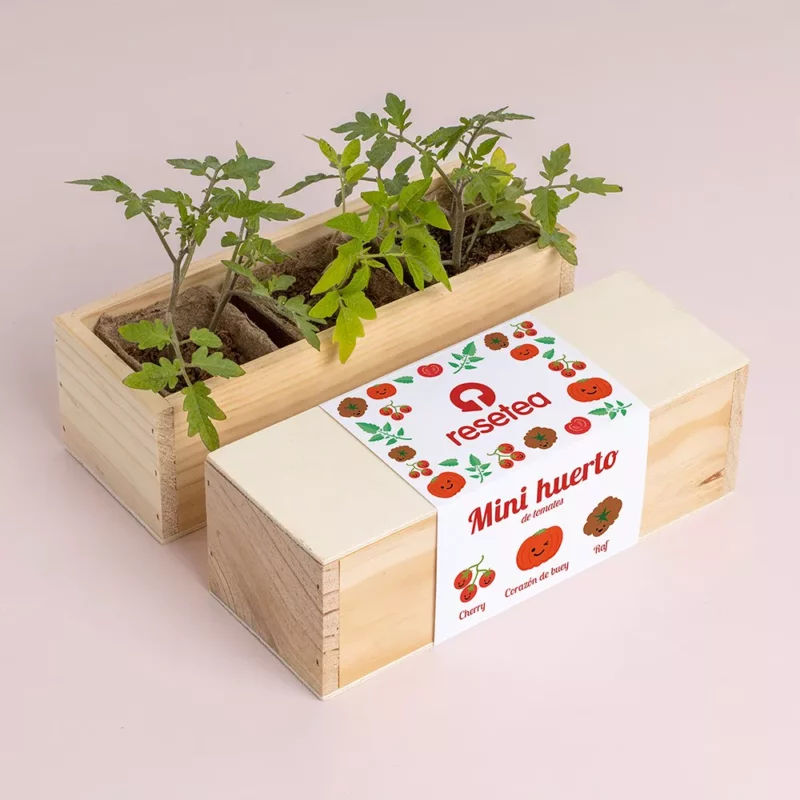 Mini Giardino Pomodoro 4